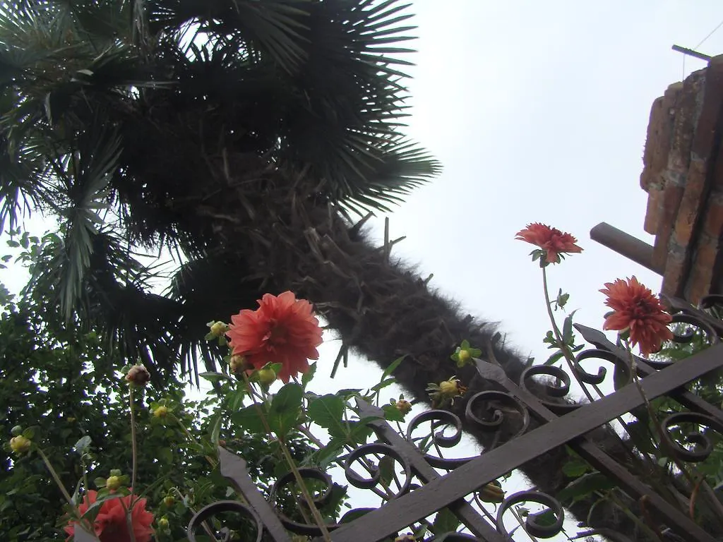 Guest House Temuri Batumi